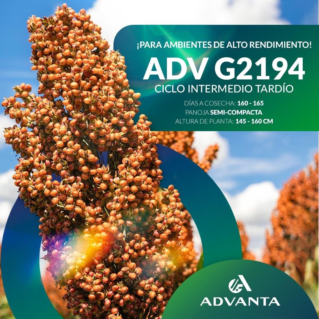 ADVANTA G2194