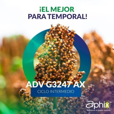 ADVANTA G3577
