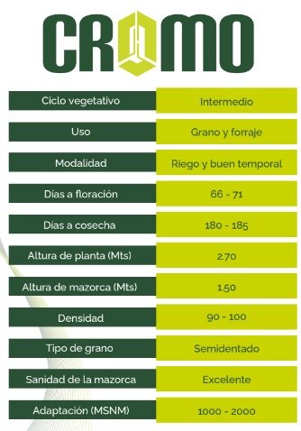 Cromo