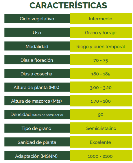 ESPARTACO