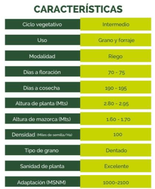 PATRIOTA