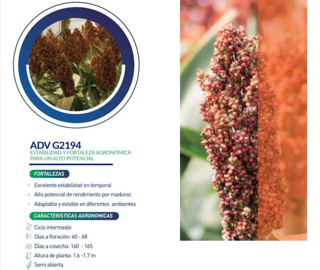 ADVANTA G2194