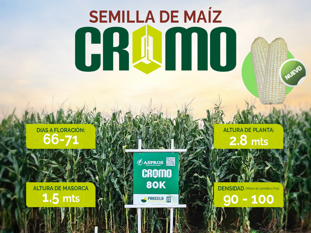 CROMO